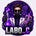 LABO C - Accueil