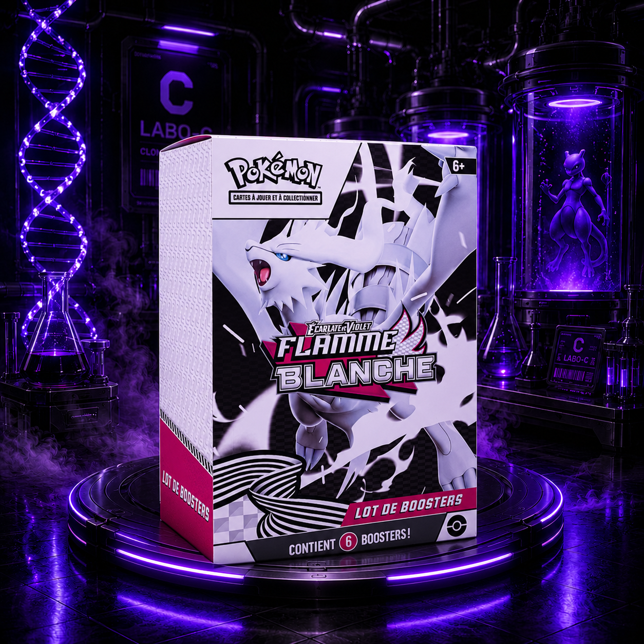 Bundle Pokemon Flamme Blanche (EV10.5)
